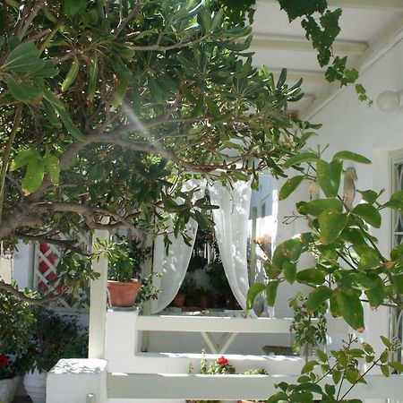 Korali Hotel Αντίπαρος Εξωτερικό φωτογραφία