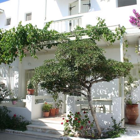 Korali Hotel Αντίπαρος Εξωτερικό φωτογραφία