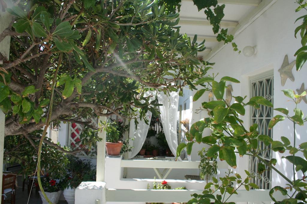 Korali Hotel Αντίπαρος Εξωτερικό φωτογραφία