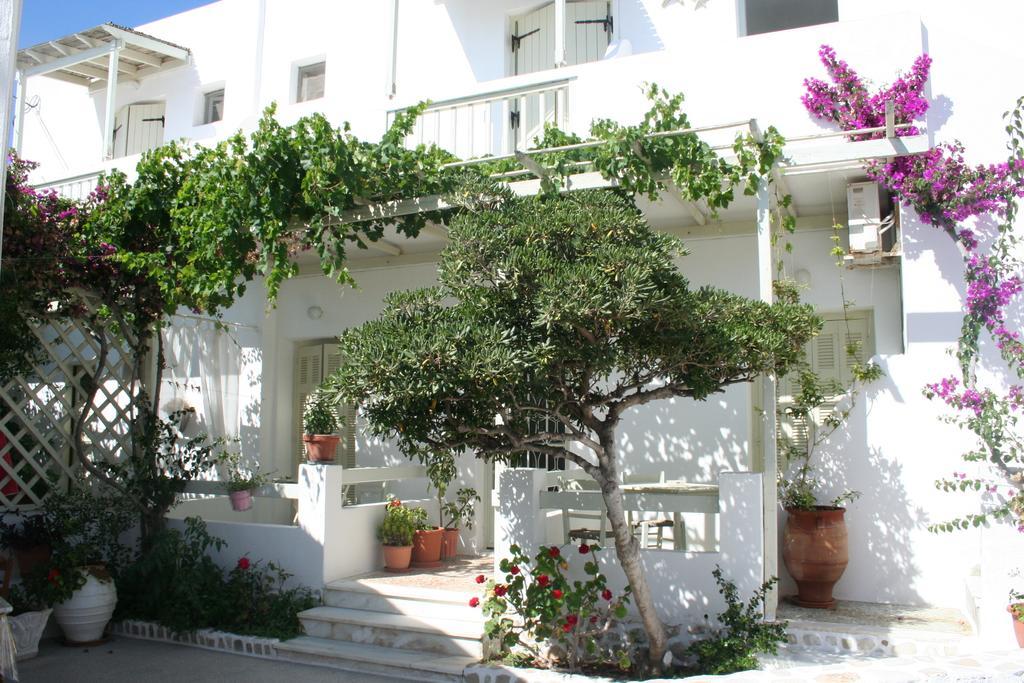 Korali Hotel Αντίπαρος Εξωτερικό φωτογραφία