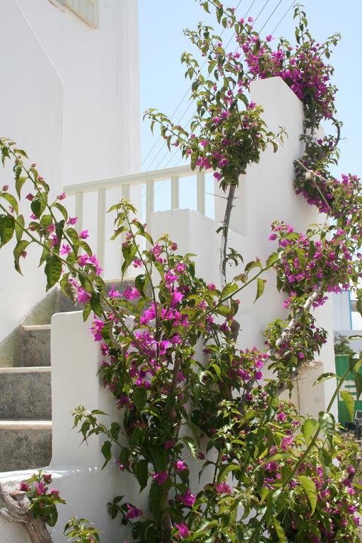 Korali Hotel Αντίπαρος Δωμάτιο φωτογραφία